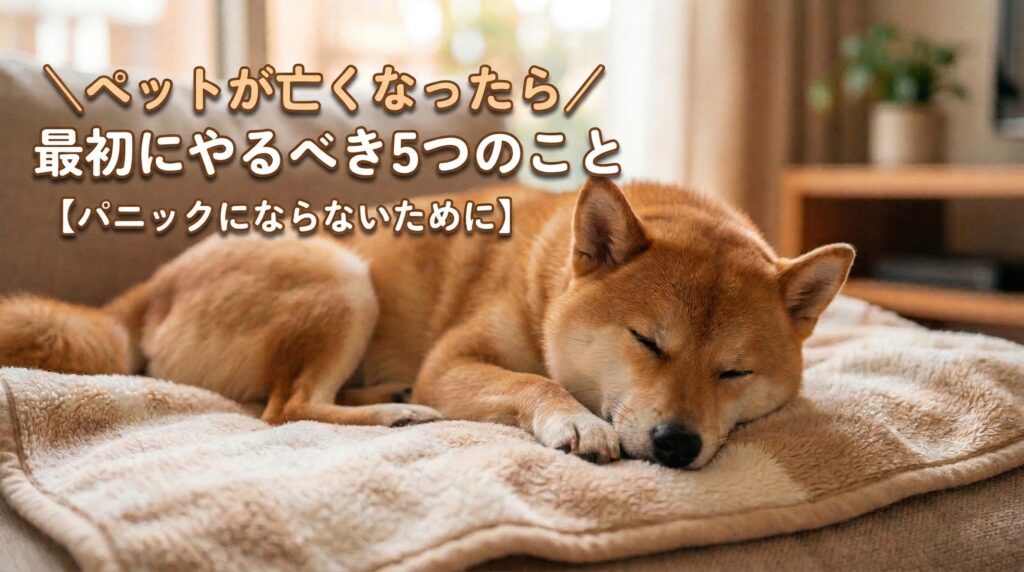 ペットが亡くなったら最初にやるべき5つのこと【パニックにならないために】