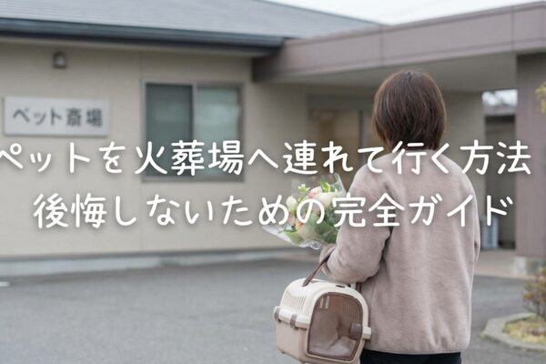 ペット火葬場への持ち込み方法と流れ【後悔しないための完全ガイド】