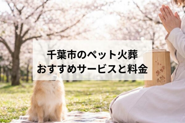 【2026年最新】千葉市のペット火葬おすすめ業者と料金相場