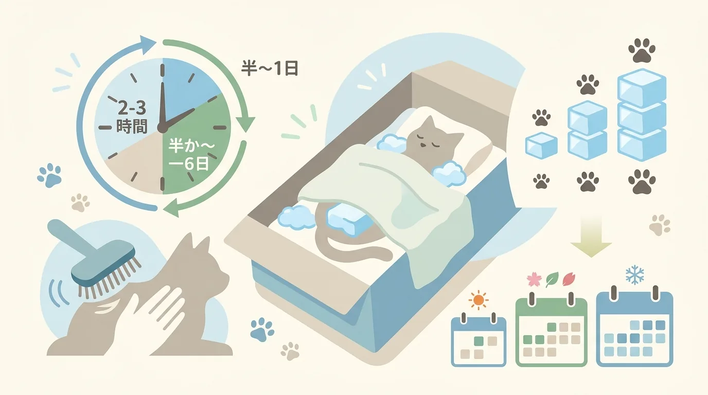 Q2 火葬まで自宅でどう安置すればいい?の図解 / ペット 火葬 自宅