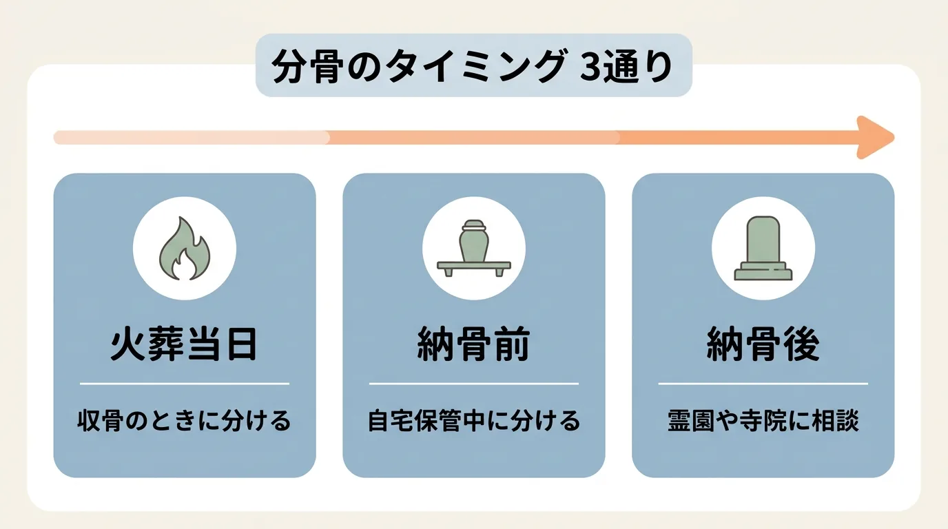 分骨のタイミング3通り (火葬当日/納骨前/納骨後は霊園・寺院に相談) を時系列で示す図解/ペット 分骨 やり方