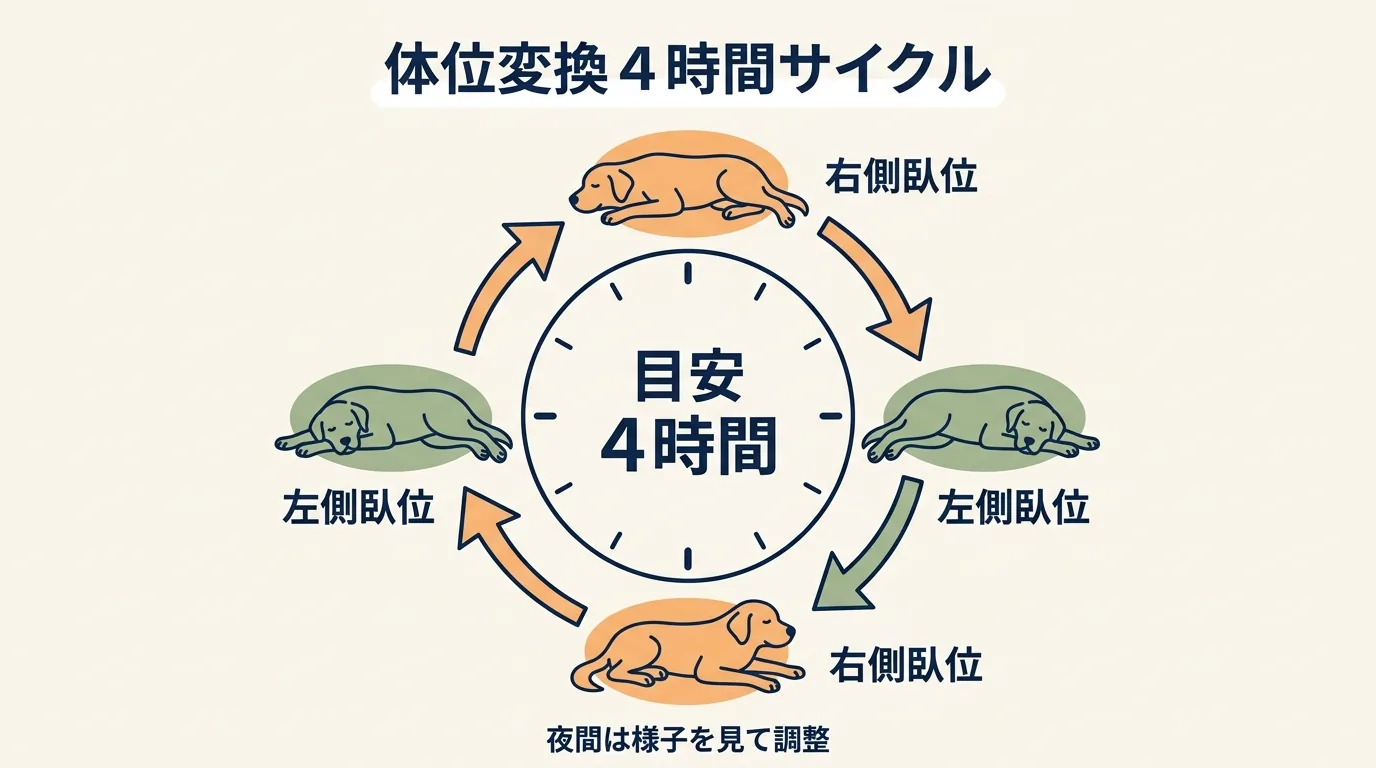 体位変換4時間サイクルの図解。右側臥位と左側臥位を時計まわりで切り替える流れと『目安4時間』『夜間は様子を見て調整』のラベル｜大型犬 寝たきり 介護