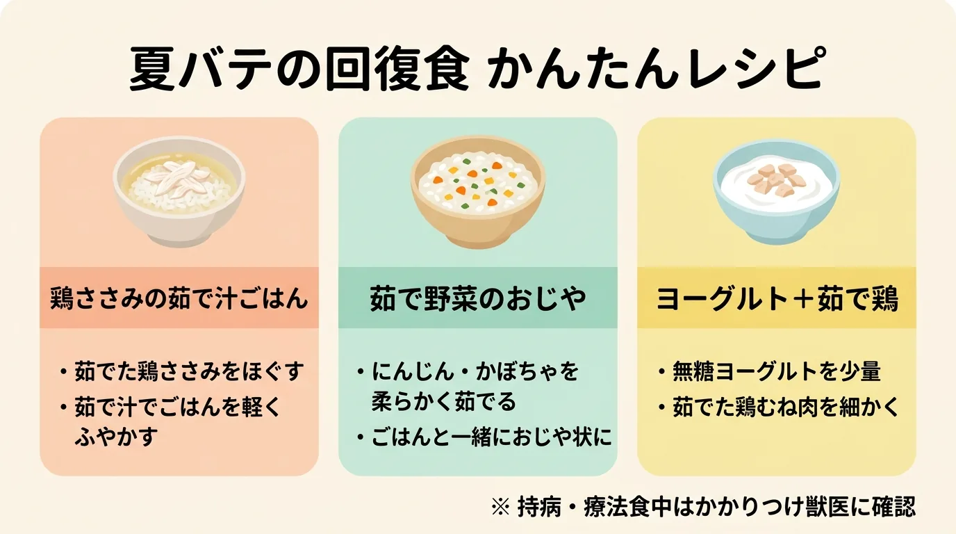 犬の夏バテ回復食レシピ3品の日本語図解。鶏ささみの茹で汁ごはん/茹で野菜のおじや/ヨーグルト+茹で鶏 をやさしいフラットイラストで紹介。『持病・療法食中はかかりつけ獣医に確認』の注記付き / 犬 夏バテ 回復食
